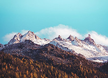 注册观看-九游入口：开启你的极致手游世界