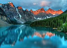 注册观看-九游入口:开启你的极致手游世界